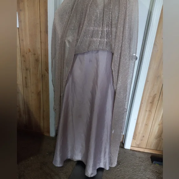 NWOT Cinderella Divine Metalic Gown With Beaded Banded Belt And V-Neckline 18